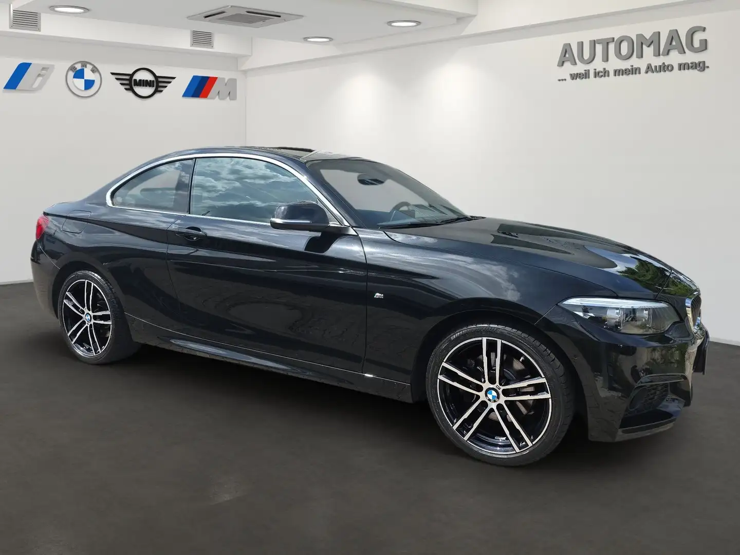 BMW 220 i M-Sport*Park Assist*AHK*PDC*Lenkradheizung*CD-La Nero - 2