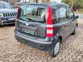 Fiat Panda 1.2 8V Dynamic / Zwart - thumbnail 3