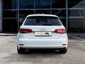Audi A3 1.6 tdi 110 CV ADATTA ANEOPATENTATI Bianco - thumbnail 6