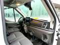 Ford Transit 350 L3 Trend/SYNC4/360"Kamera/ACC Weiß - thumbnail 11