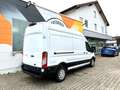 Ford Transit 350 L3 Trend/SYNC4/360"Kamera/ACC Wit - thumbnail 5