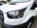 Ford Transit 350 L3 Trend/SYNC4/360"Kamera/ACC Weiß - thumbnail 16