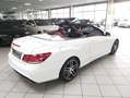 Mercedes-Benz E 500 Cabrio AMG-STY NIGHT H/K MEMORY DISTR Biały - thumbnail 11