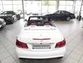 Mercedes-Benz E 500 Cabrio AMG-STY NIGHT H/K MEMORY DISTR Biały - thumbnail 13