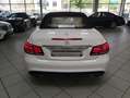 Mercedes-Benz E 500 Cabrio AMG-STY NIGHT H/K MEMORY DISTR Biały - thumbnail 5