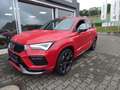 CUPRA Ateca Ateca 2.0 TSI DSG 4Drive AHK LED Navi ACC Lane Ass Rouge - thumbnail 1