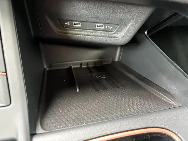 CUPRA Terramar 2.0 TSI 204 PS DSG 4Drive Ansicht 18