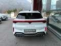 CUPRA Terramar 2.0 TSI 204 PS DSG 4Drive Weiß - thumbnail 5