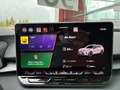 CUPRA Terramar 2.0 TSI 204 PS DSG 4Drive Weiß - thumbnail 14