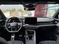 CUPRA Terramar 2.0 TSI 204 PS DSG 4Drive Weiß - thumbnail 12