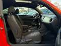 Volkswagen Beetle Lim. Club BMT 1.Hand Pano Habanero Orange - thumbnail 15