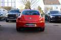 Volkswagen Beetle Lim. Club BMT 1.Hand Pano Habanero Orange - thumbnail 5