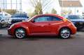 Volkswagen Beetle Lim. Club BMT 1.Hand Pano Habanero Orange - thumbnail 7