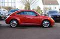 Volkswagen Beetle Lim. Club BMT 1.Hand Pano Habanero Orange - thumbnail 8