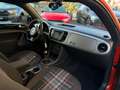 Volkswagen Beetle Lim. Club BMT 1.Hand Pano Habanero Orange - thumbnail 16