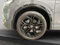 Volkswagen Tiguan III 2.0 TDI 4Motion DSG R-Line Grau - thumbnail 19