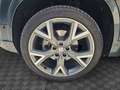 SEAT Ateca 2.0 TDI 4DRIVE DSG FR 150CV Zelená - thumbnail 16