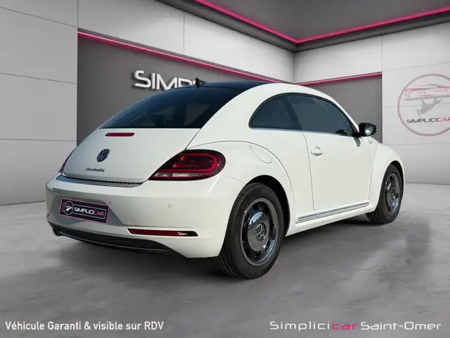 Volkswagen Beetle view 8
