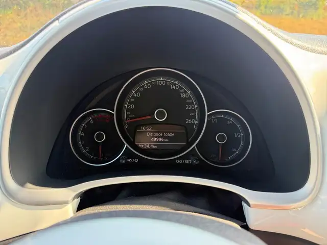 Volkswagen Beetle view 14