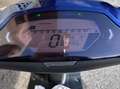 Online Tapo Albastru - thumbnail 6
