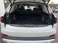 BMW X5 xDrive30d || Pano AHK SoftClose 360° DAProf Weiß - thumbnail 24