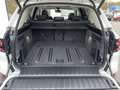 BMW X5 xDrive30d || Pano AHK SoftClose 360° DAProf Weiß - thumbnail 26