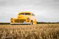 Cadillac Serie 62 61 coupe 62 61 Gelb - thumbnail 3