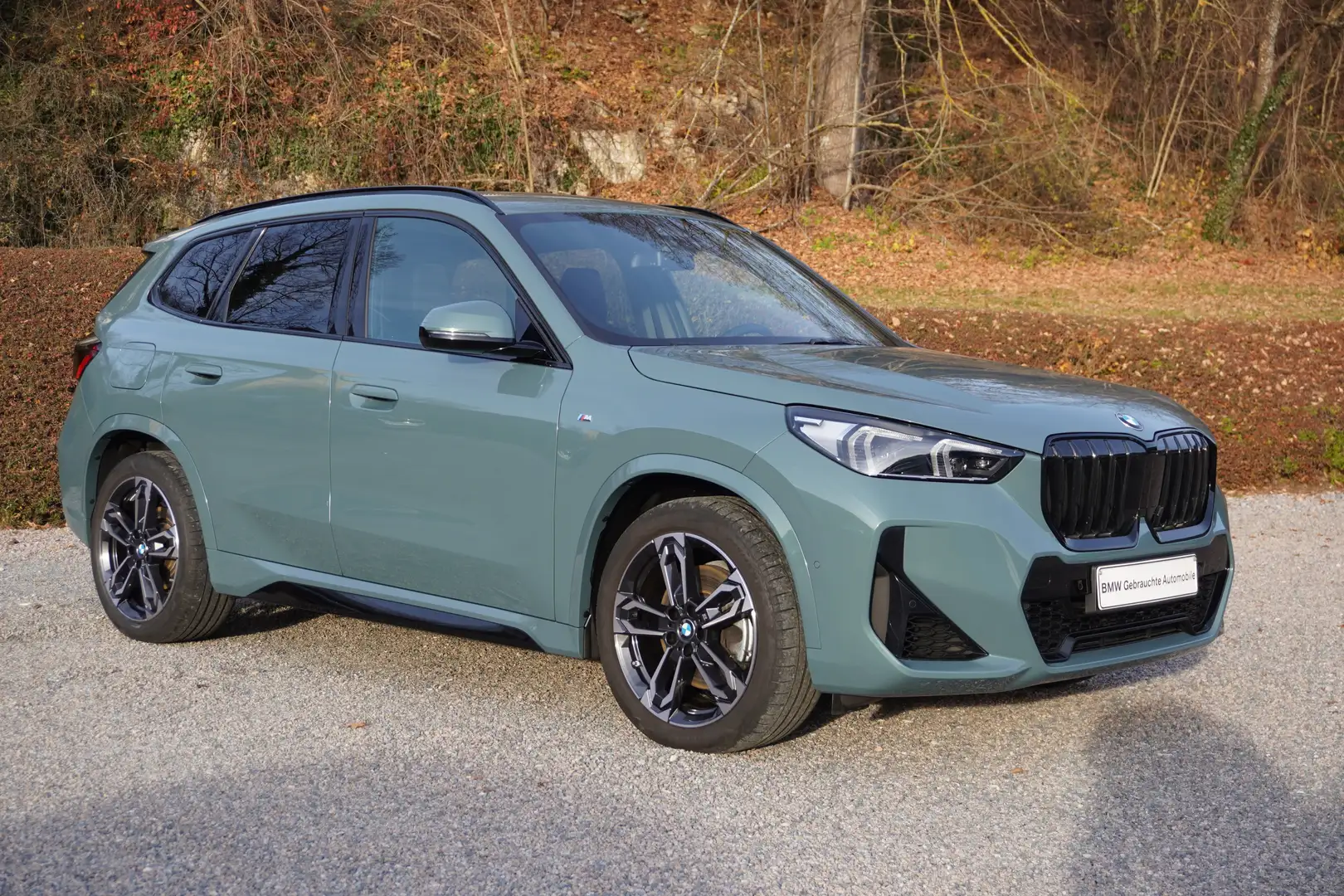 BMW X1 xDrive23i M Sport AHK eSitz 19" DrivingAssistant S Grün - 1