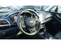 Subaru Forester Platinum 2.0ie Mild-Hybrid Schiebedach Parkpilot N Rosso - thumbnail 11