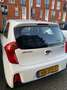 Kia Picanto Picanto 1.0 CVVT ComfortLine - thumbnail 2