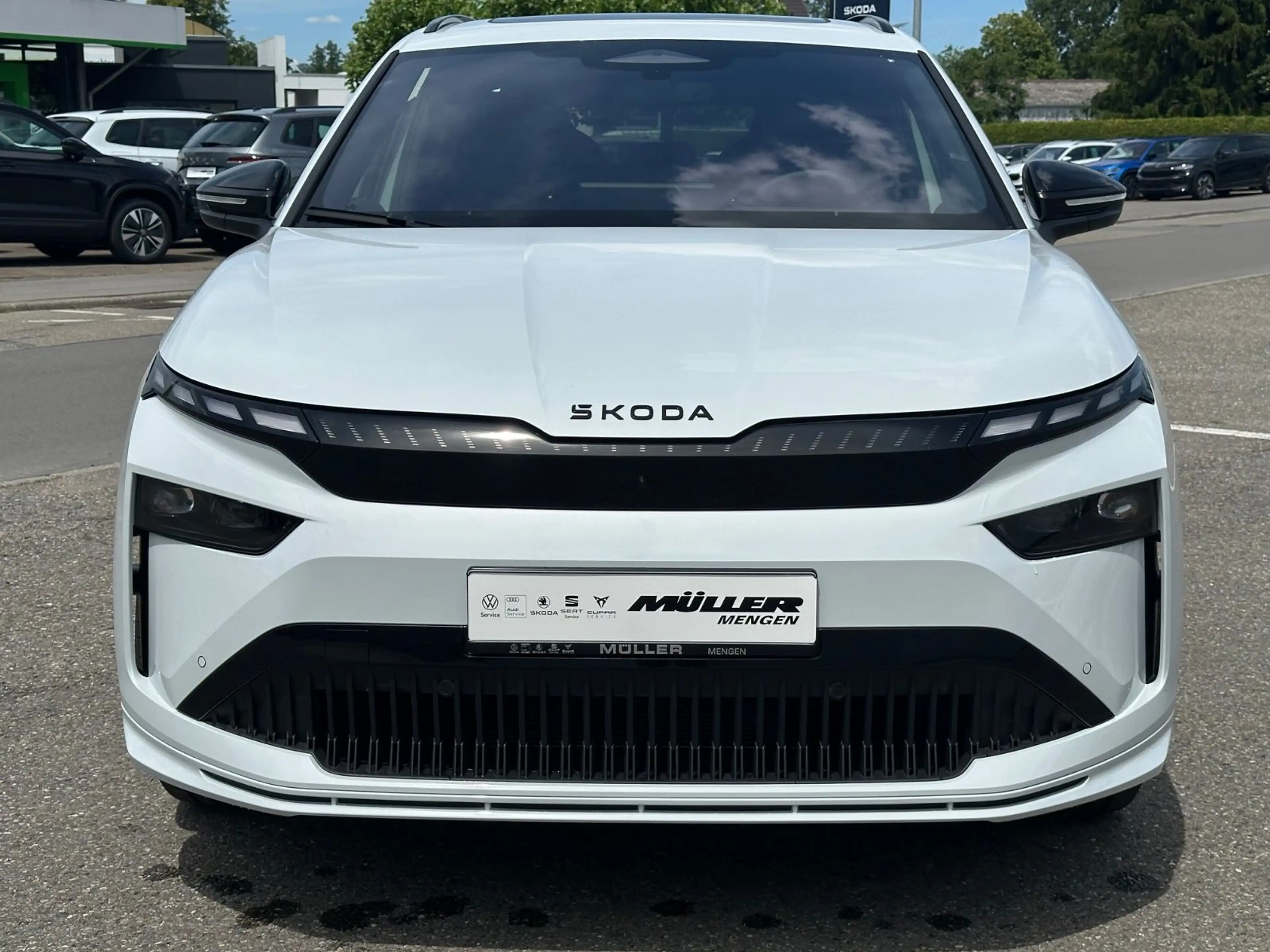 Skoda Enyaq 85x Sportline Maxx|Pano|AHK|Winter|Transp. — photo 2