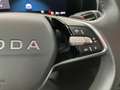 Skoda Kodiaq 4x4 Selection TDI DSG Grau - thumbnail 19