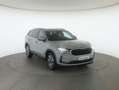 Skoda Kodiaq 4x4 Selection TDI DSG Grau - thumbnail 3
