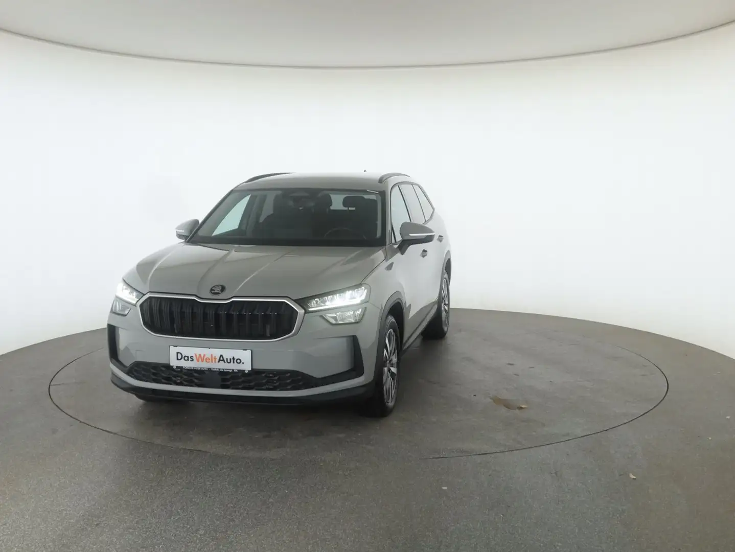 Skoda Kodiaq 4x4 Selection TDI DSG Grau - 2