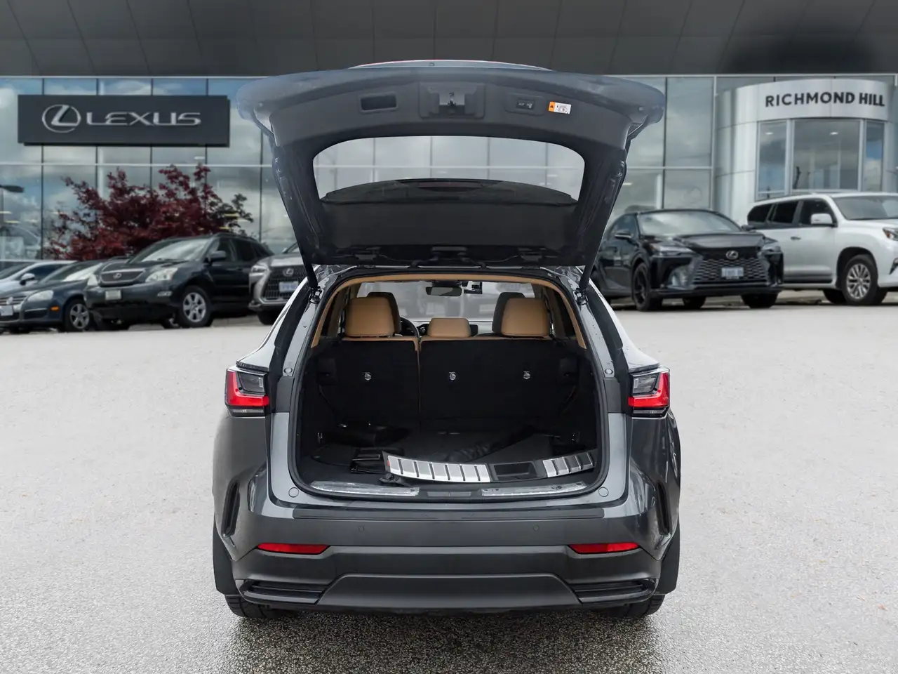 Lexus NX снимка Lexus NX