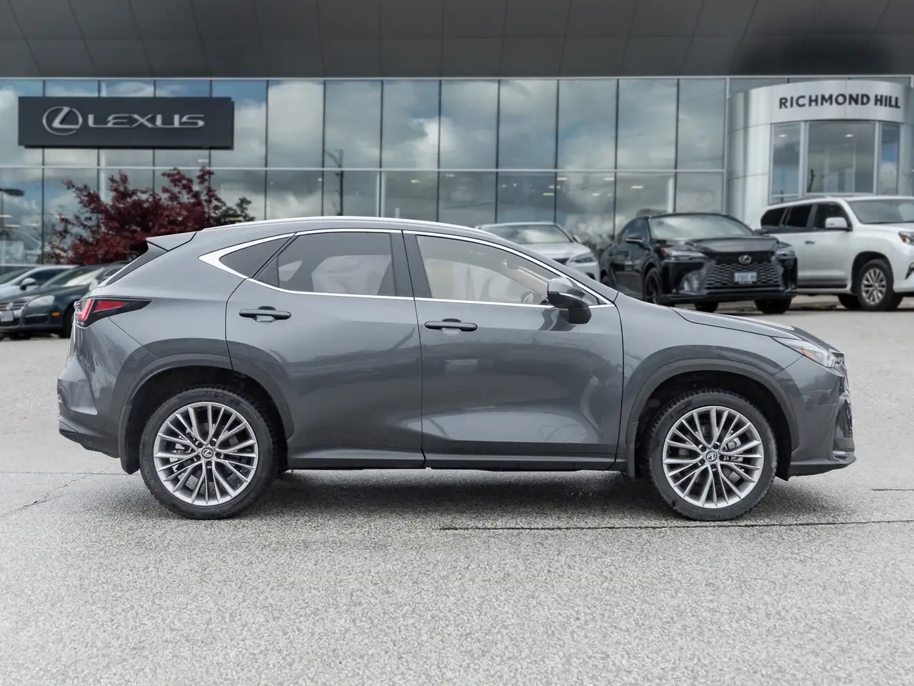 Lexus NX снимка Lexus NX