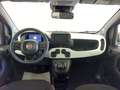 Fiat Panda Panda Cross 1.0 FireFly S&S Hybrid Rosso - thumbnail 5