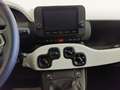 Fiat Panda Panda Cross 1.0 FireFly S&S Hybrid Rosso - thumbnail 7