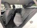 Volkswagen Golf VIII Life 1.5 TGI CNG Erdgas DSG LED ACC 2 x PDC Weiß - thumbnail 20