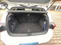 Volkswagen Golf VIII Life 1.5 TGI CNG Erdgas DSG LED ACC 2 x PDC Weiß - thumbnail 9