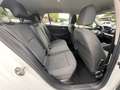 Volkswagen Golf VIII Life 1.5 TGI CNG Erdgas DSG LED ACC 2 x PDC Weiß - thumbnail 8