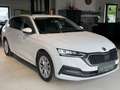 Skoda Octavia Style 1.Besitz, leasingfähig Wit - thumbnail 2