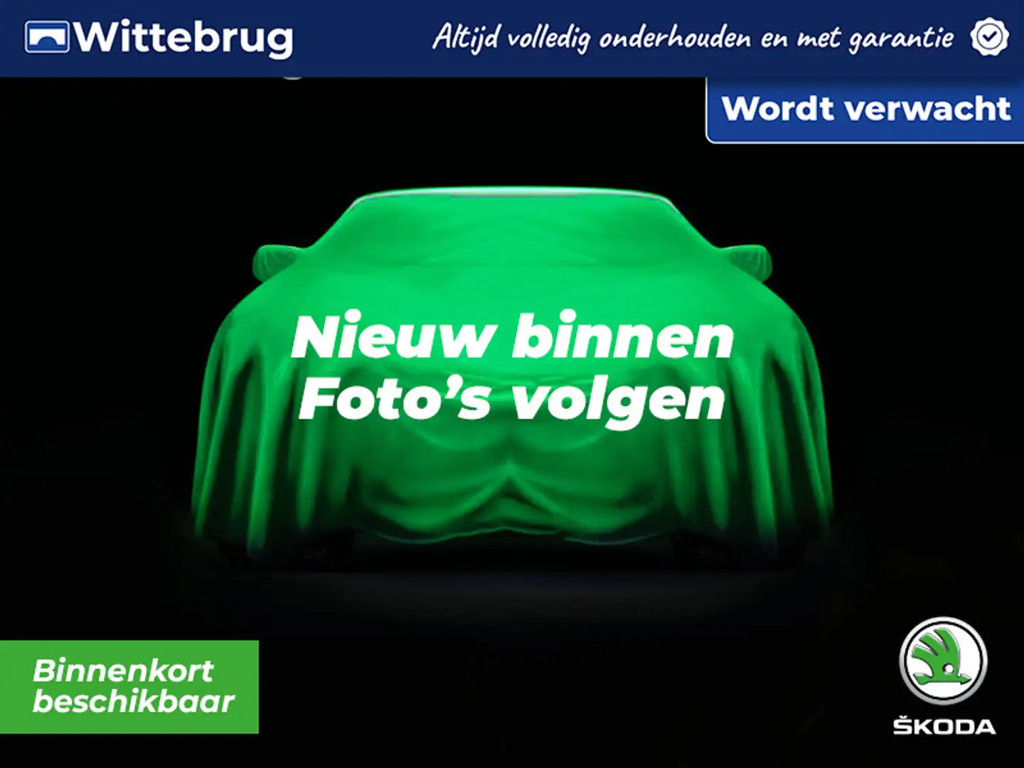 Skoda Fabia 1.2 TSI Ambition / Cruise controle / Airco / Licht Blauw - 1