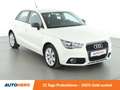 Audi A1 1.2 TFSI Ambition*KLIMA*PDC*SHZ* Beige - thumbnail 8