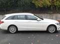 Mercedes-Benz C 250 C 250 T Exclusive 1.Hand Plateado - thumbnail 20