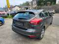 Ford Focus 1.5 TDCi Business Edition+ Gris - thumbnail 7