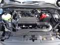 Ford Kuga Titanium FHEV 180PS Automatik Vollhybrid Schwarz - thumbnail 13