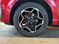 Ford Kuga 2.5 ST-Line X PHEV +LED+AHK+HUD+360°+B&O+ACC+TWA+ Rouge - thumbnail 6