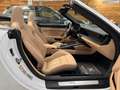 Porsche 911 Carrera Cabriolet Sitzbel. SurroundView Blanco - thumbnail 14