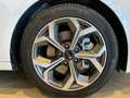 Kia 1.5 MHEV 118kW (160CV) Tech DCT Blanco - thumbnail 13